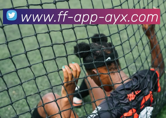 爱游戏AYX平台生态图