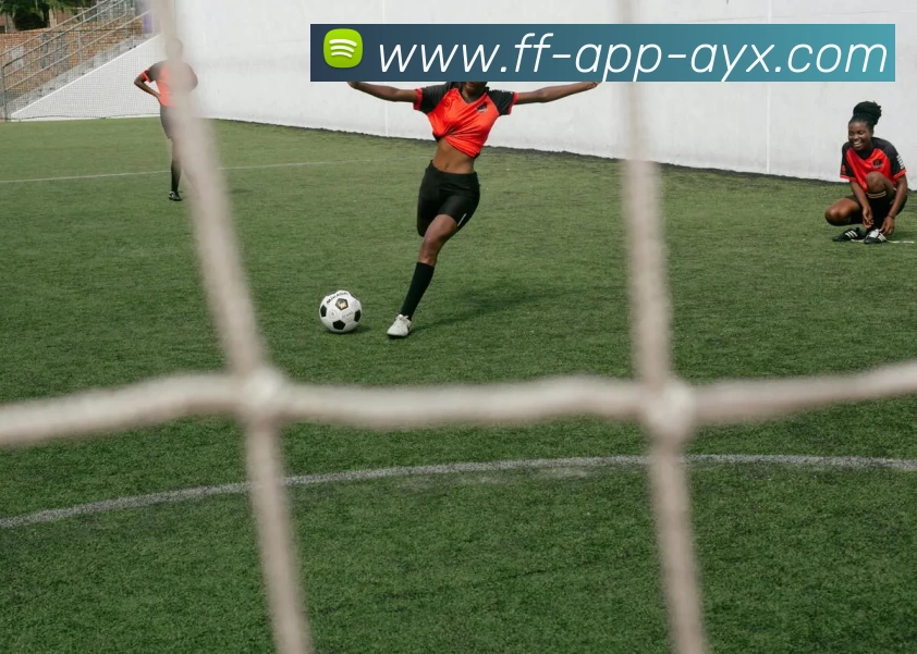 爱游戏AYXAPP 封面图